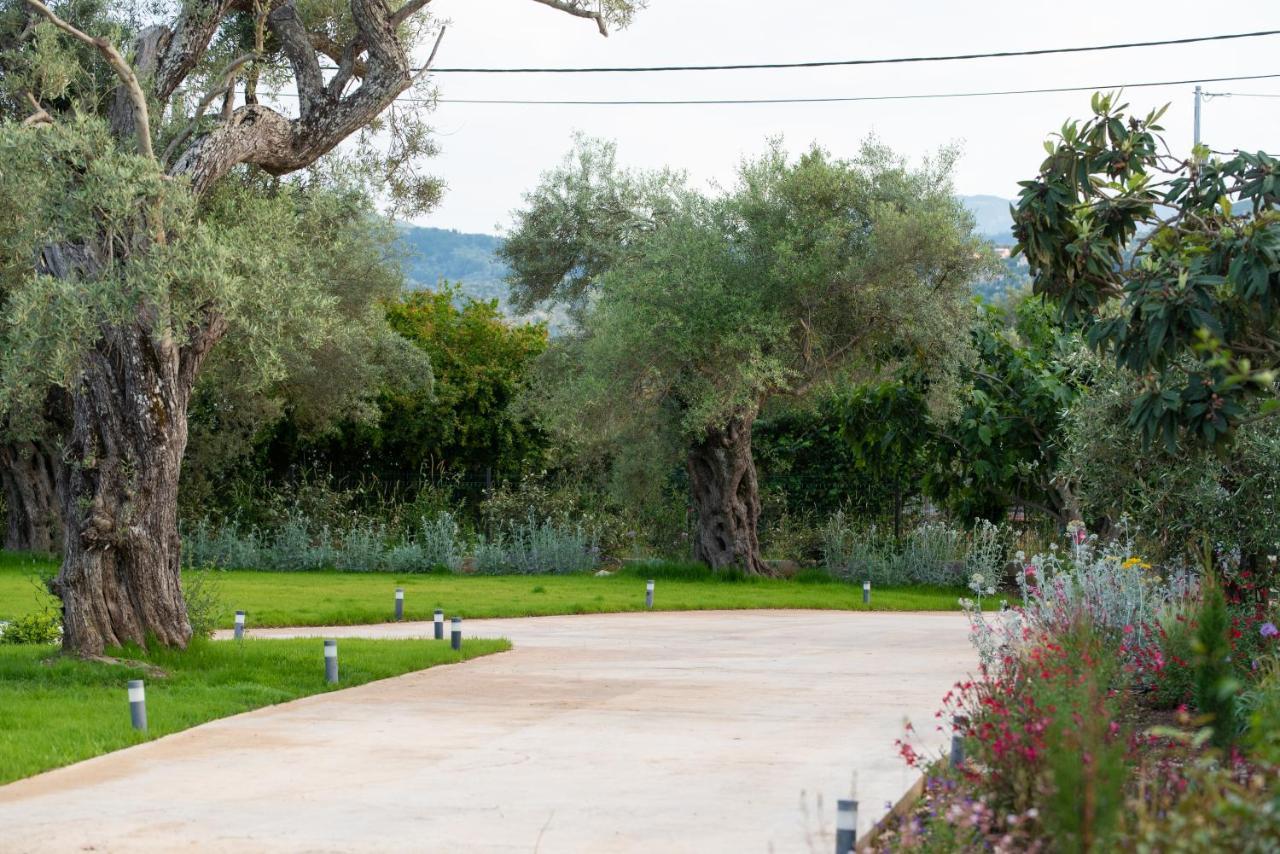 Aerinos Private Villa