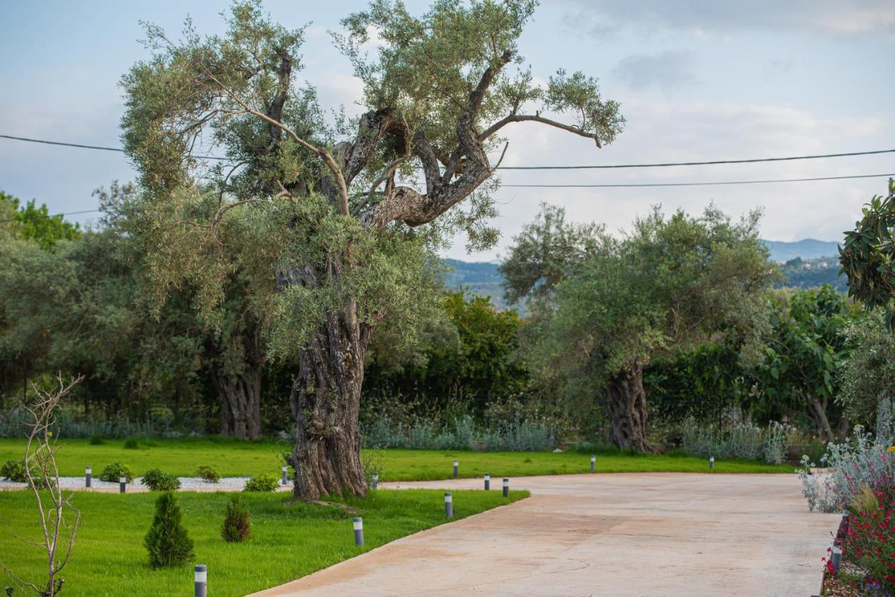 Aerinos Private Lefkada City