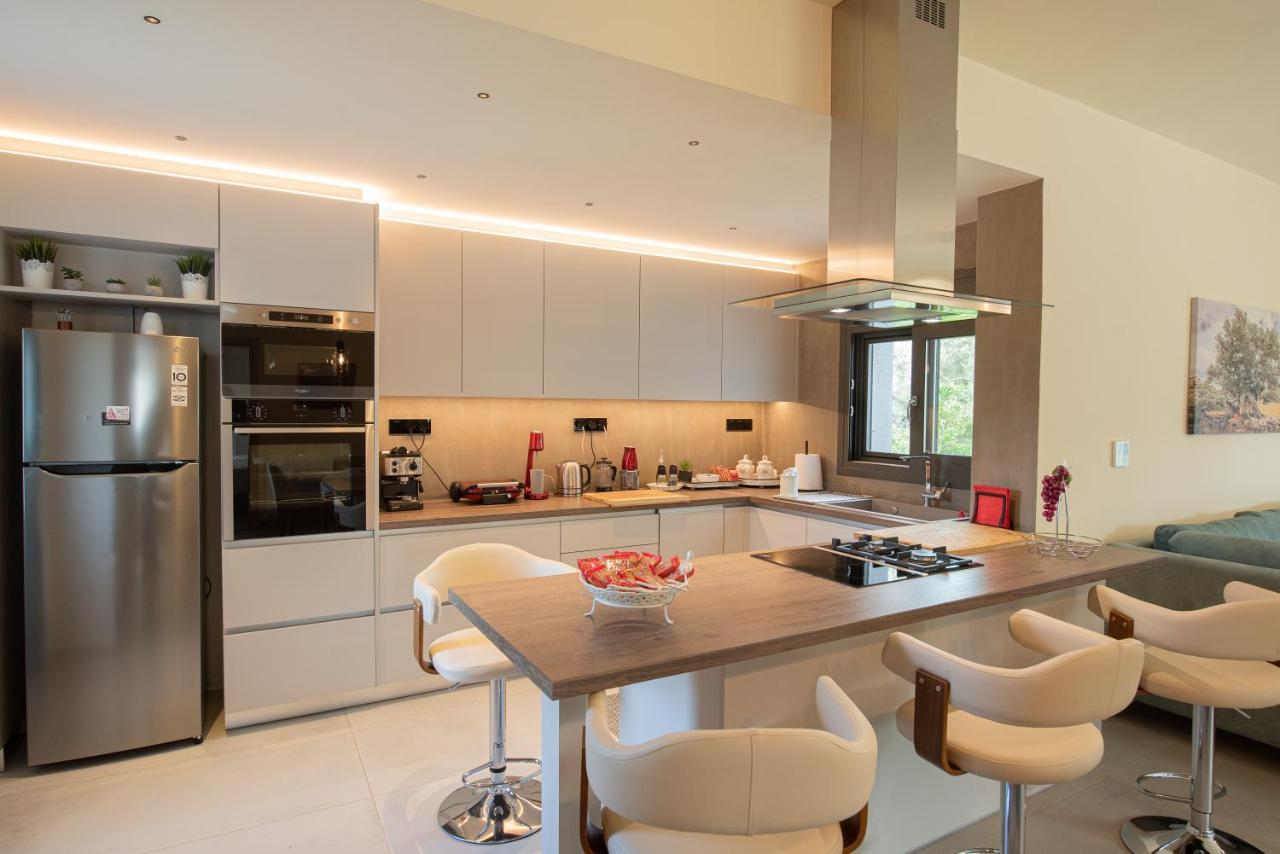 Villa Aerinos Private Lefkada City